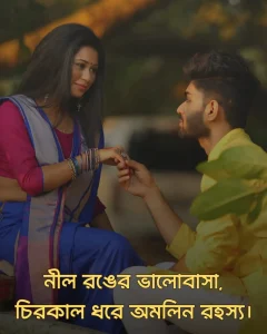 নীল শাড়ি নিয়ে ক্যাপশন ও ছবি ৩