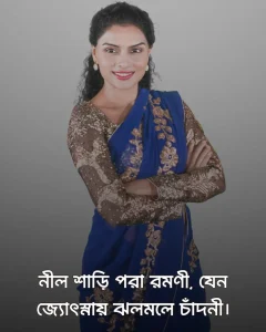 নীল শাড়ি নিয়ে ক্যাপশন ও ছবি ৪