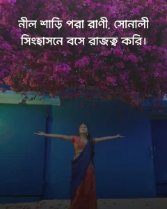 নীল শাড়ি নিয়ে ক্যাপশন ও ছবি