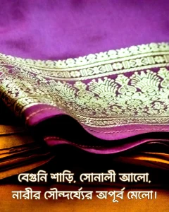 বেগুনি শাড়ি নিয়ে ক্যাপশন ও ছবি ১