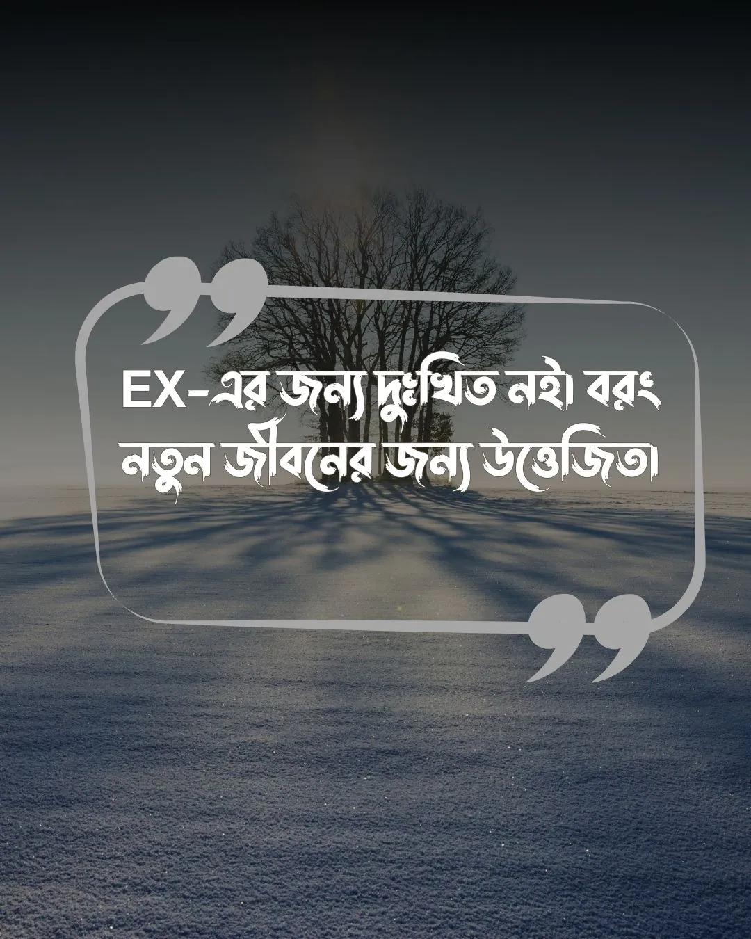 প্রাক্তন নিয়ে ক্যাপশন, স্ট্যাটাস, উক্তি ও ছবি ২০২৪ 17 ex নিয়ে স্ট্যাটাস ও পিক 1 (1)
