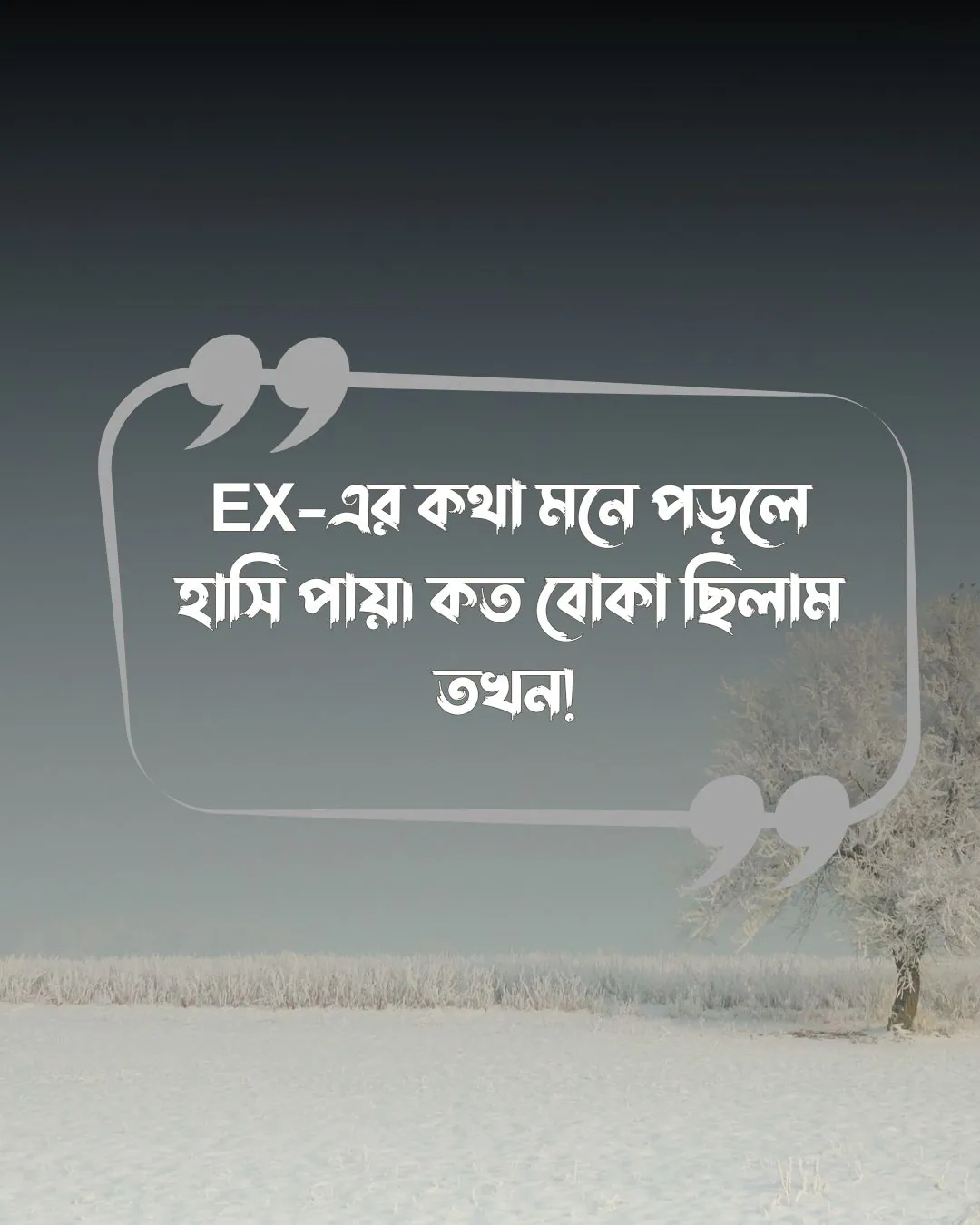 প্রাক্তন নিয়ে ক্যাপশন, স্ট্যাটাস, উক্তি ও ছবি ২০২৪ 16 ex নিয়ে স্ট্যাটাস ও পিক 1