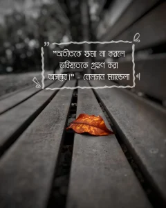 অতীত নিয়ে উক্তি ছাব 4