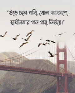 আকাশ পাখি নিয়ে ক্যাপশন সাথে ছবি