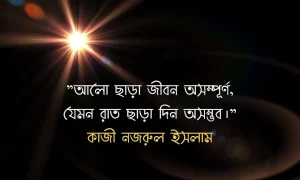 আলো নিয়ে উক্তি