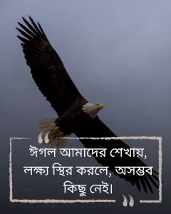 ঈগল এটিটিউড ক্যাপশন ও ছবি