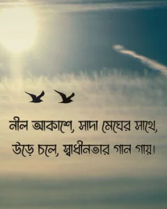 উড়ন্ত পাখি নিয়ে ক্যাপশন সাথে ছবি