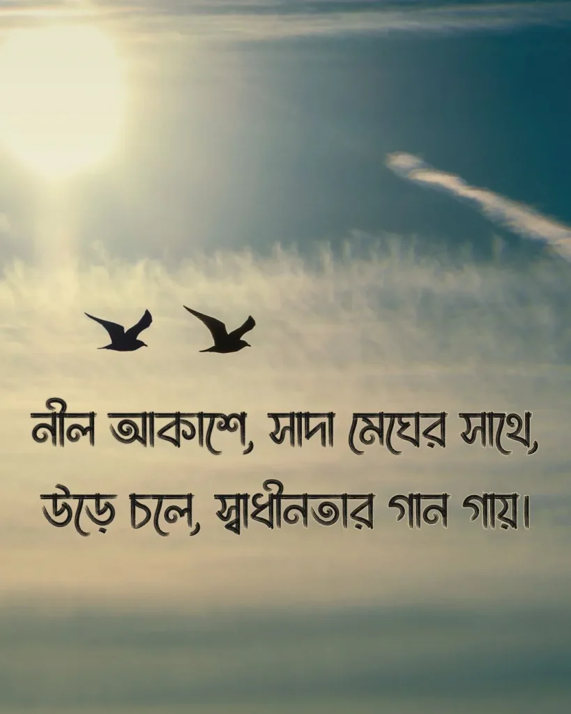 উড়ন্ত পাখি নিয়ে ক্যাপশন সাথে ছবি