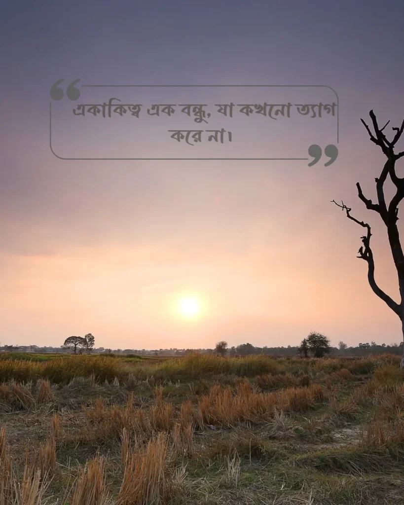 একাকিত্ব ফেসবুক স্ট্যাটাস ছবি ১