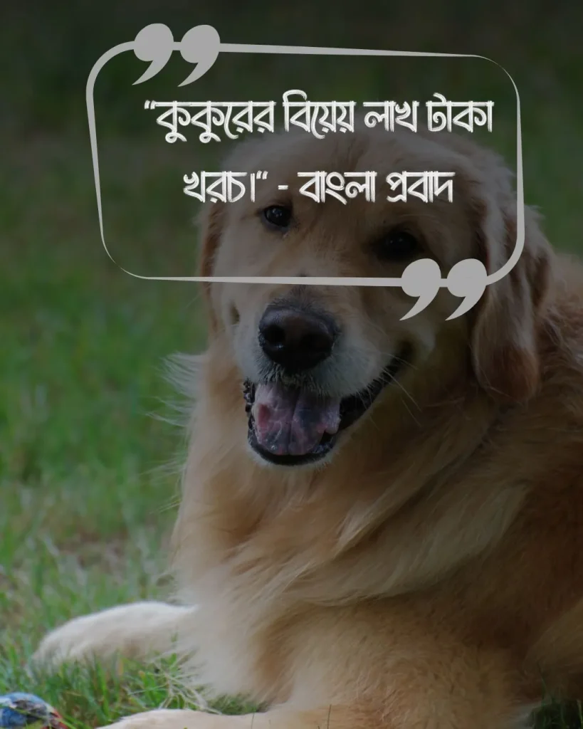 কুকুর ও মানুষ নিয়ে উক্তিও ছবি ১ (1)