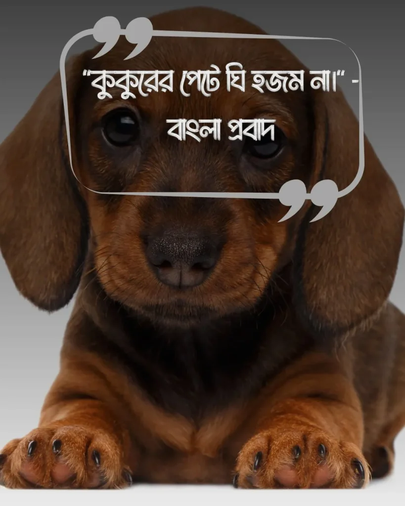 কুকুর ও মানুষ নিয়ে উক্তিও ছবি ১ (2)