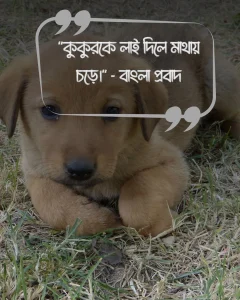 কুকুর ও মানুষ নিয়ে উক্তিও ছবি ১