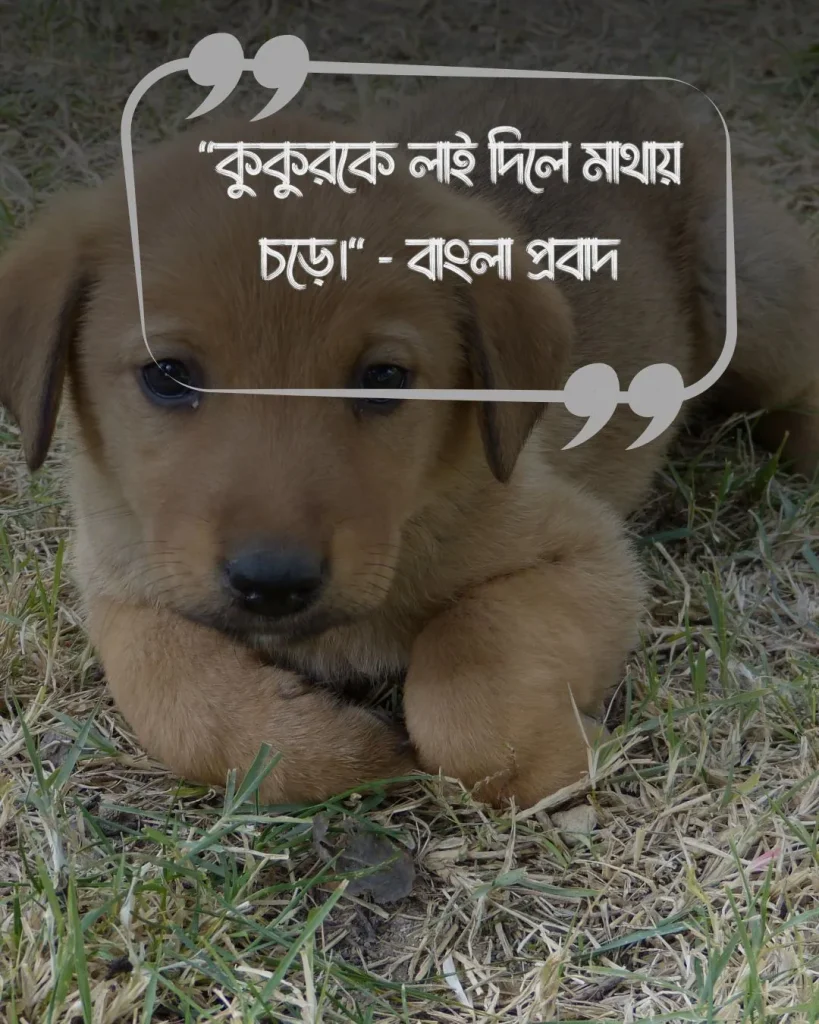 কুকুর ও মানুষ নিয়ে উক্তিও ছবি ১