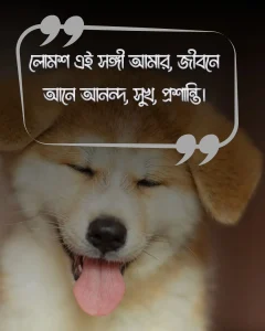 কুকুর কে নিয়ে স্ট্যাটাস ও ছবি