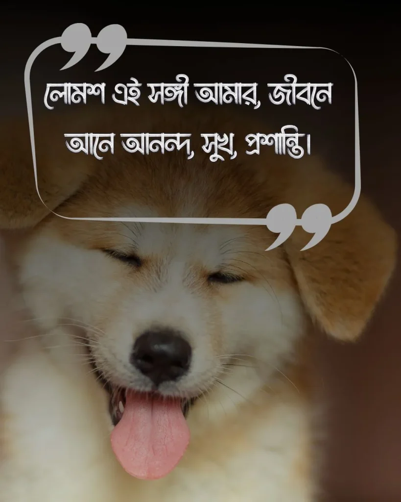 কুকুর কে নিয়ে স্ট্যাটাস ও ছবি