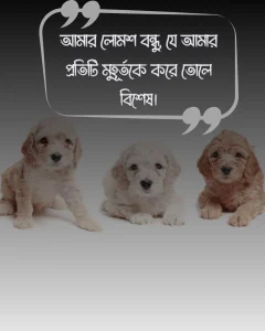 কুকুর কে নিয়ে স্ট্যাটাস ও ছবি ১ (1) (1)