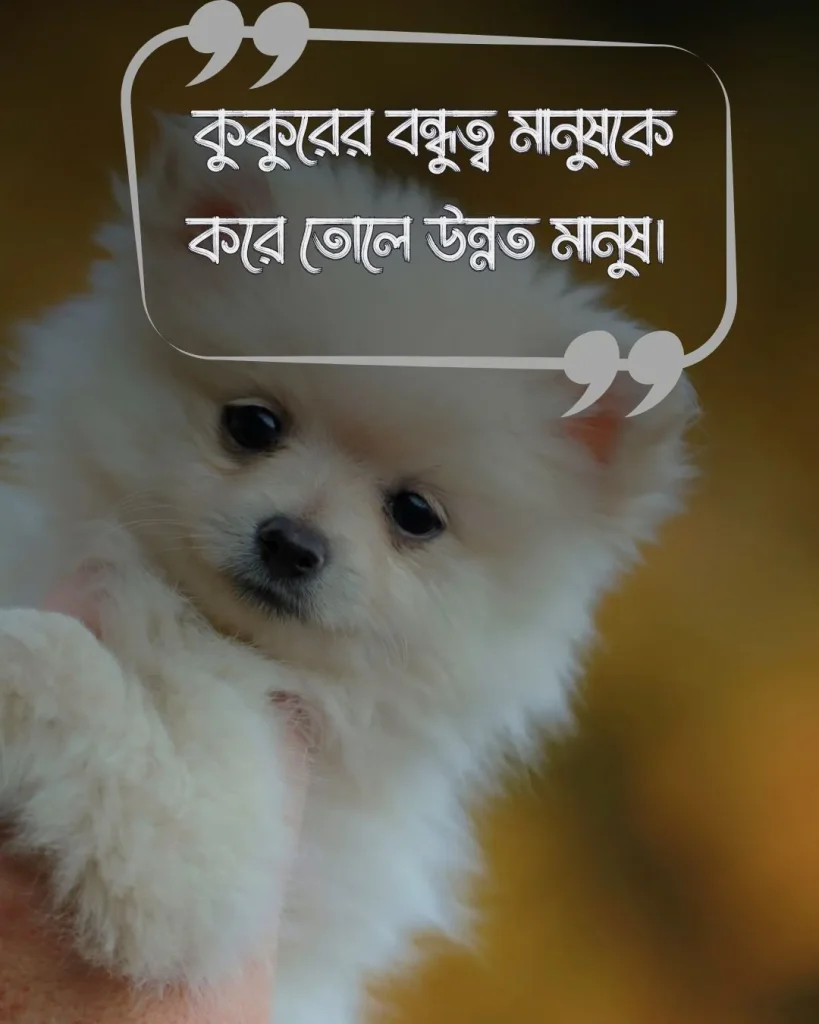 কুকুর কে নিয়ে স্ট্যাটাস ও ছবি ১ (2)