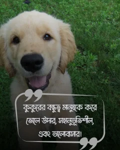 ৯. কুকুরের বন্ধুত্ব মানুষকে করে তোলে উদার, সহানুভূতিশীল, এবং ভালোবাসার।