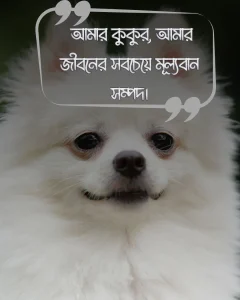 কুকুর কে নিয়ে স্ট্যাটাস ও ছবি ১৬
