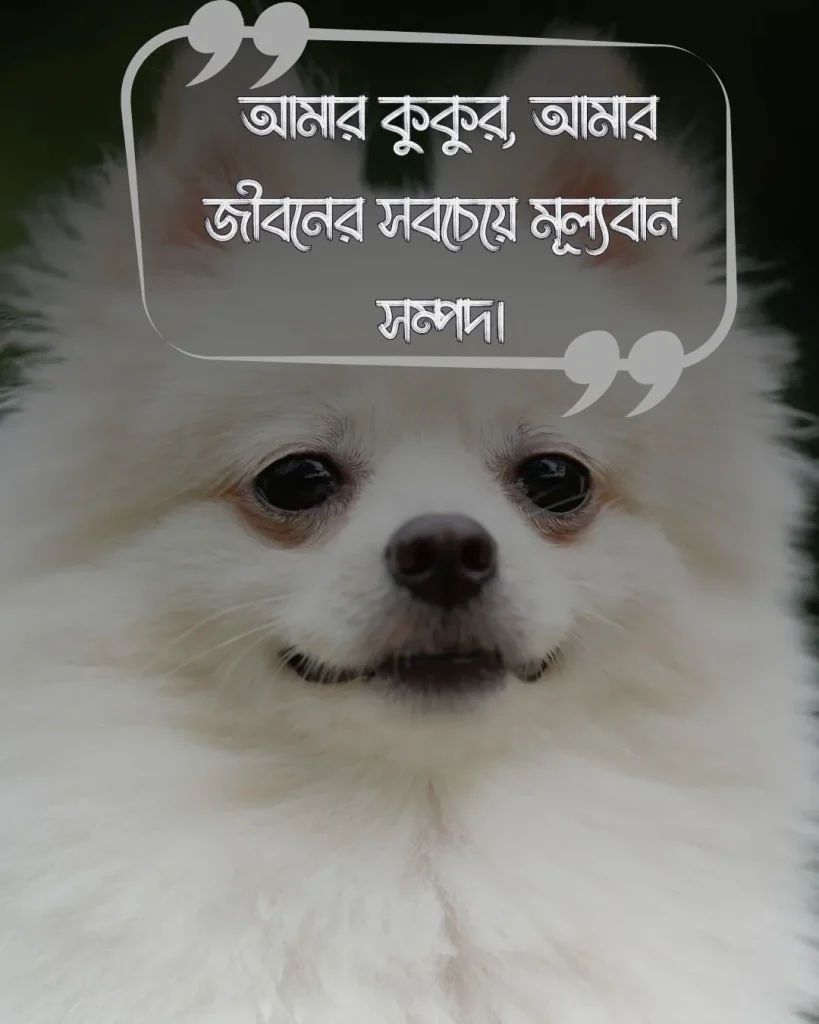 কুকুর কে নিয়ে স্ট্যাটাস ও ছবি ১৬
