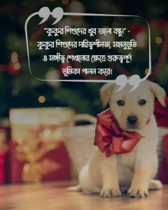 কুকুর নিয়ে উক্তি ও ছবি ১ 1