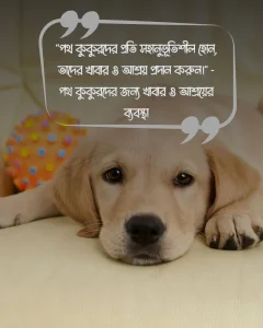 কুকুর নিয়ে উক্তি ও ছবি ১ 2