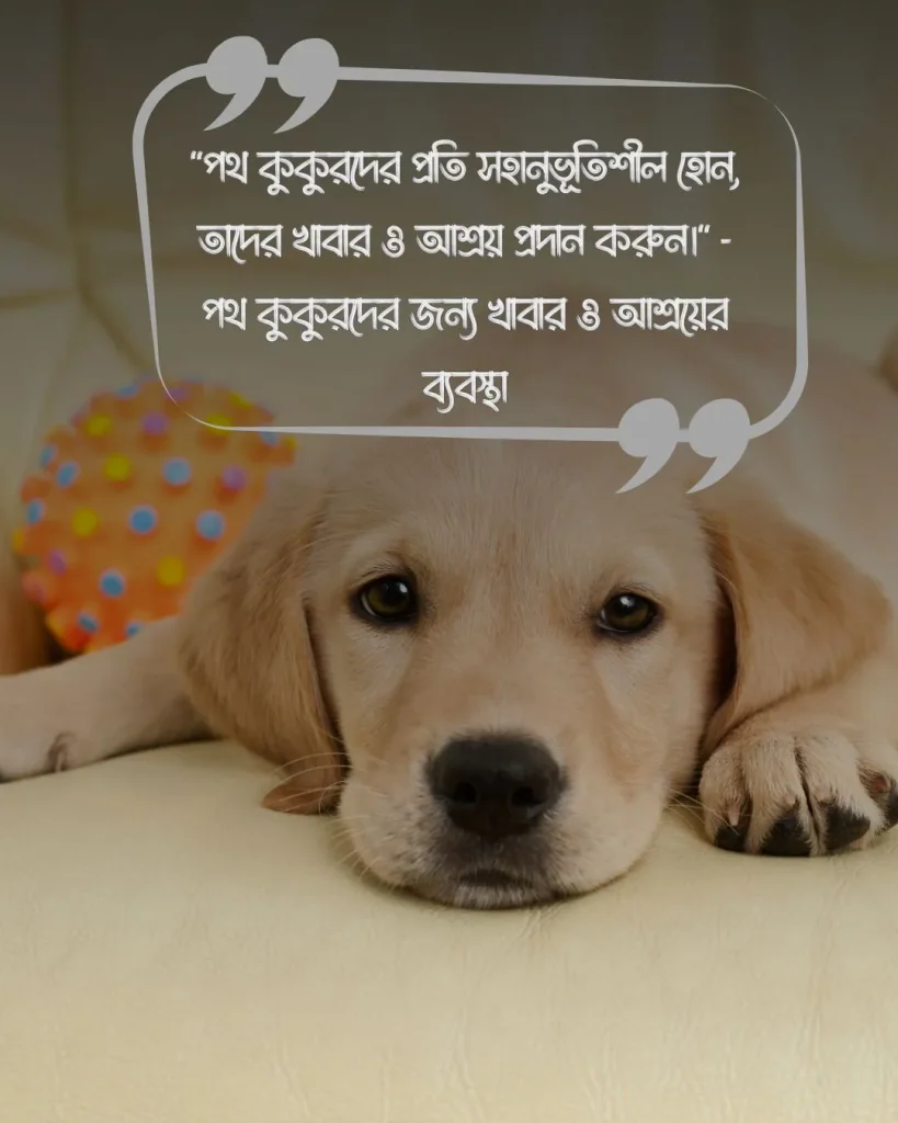 কুকুর নিয়ে উক্তি ও ছবি ১ (2)