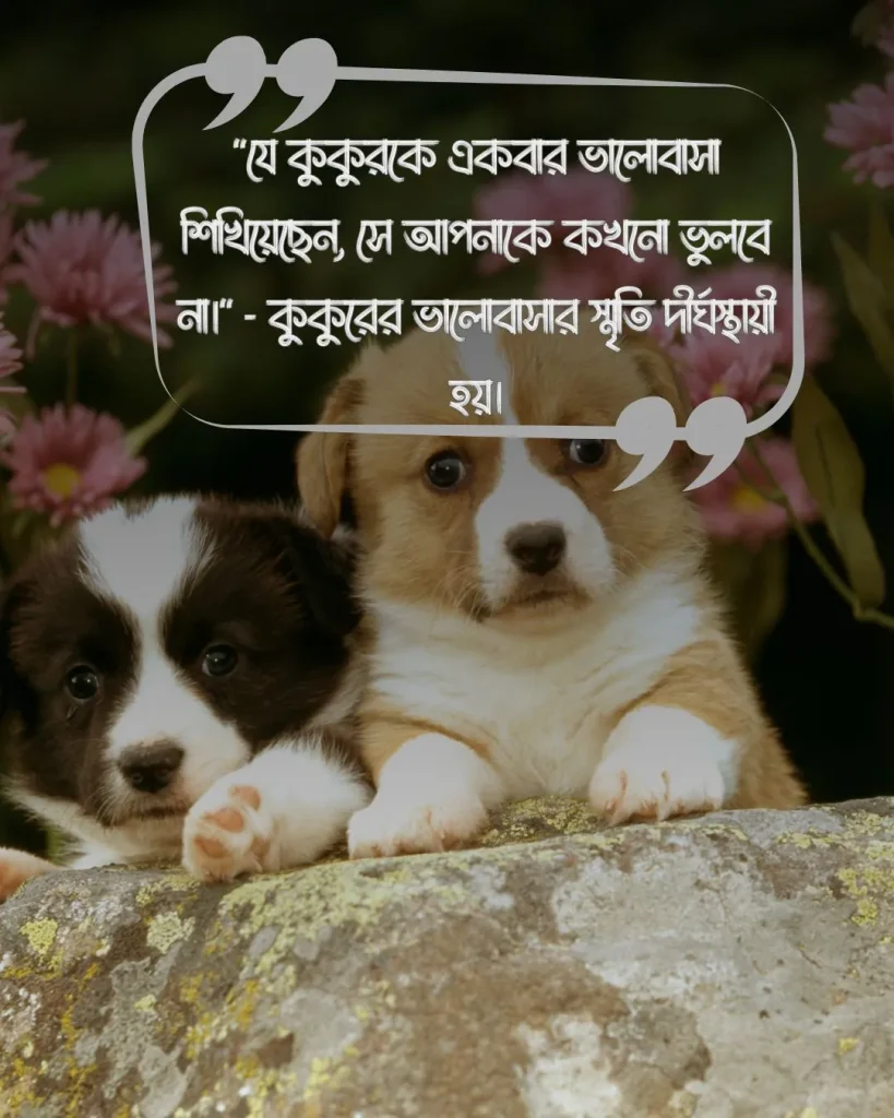 কুকুর নিয়ে উক্তি ও ছবি ১