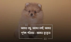 কুকুর নিয়ে ক্যাপশন, স্ট্যাটাস, উক্তি ও ছবি