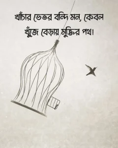 খাঁচার পাখি নিয়ে স্ট্যাটাস সাথে ছবি
