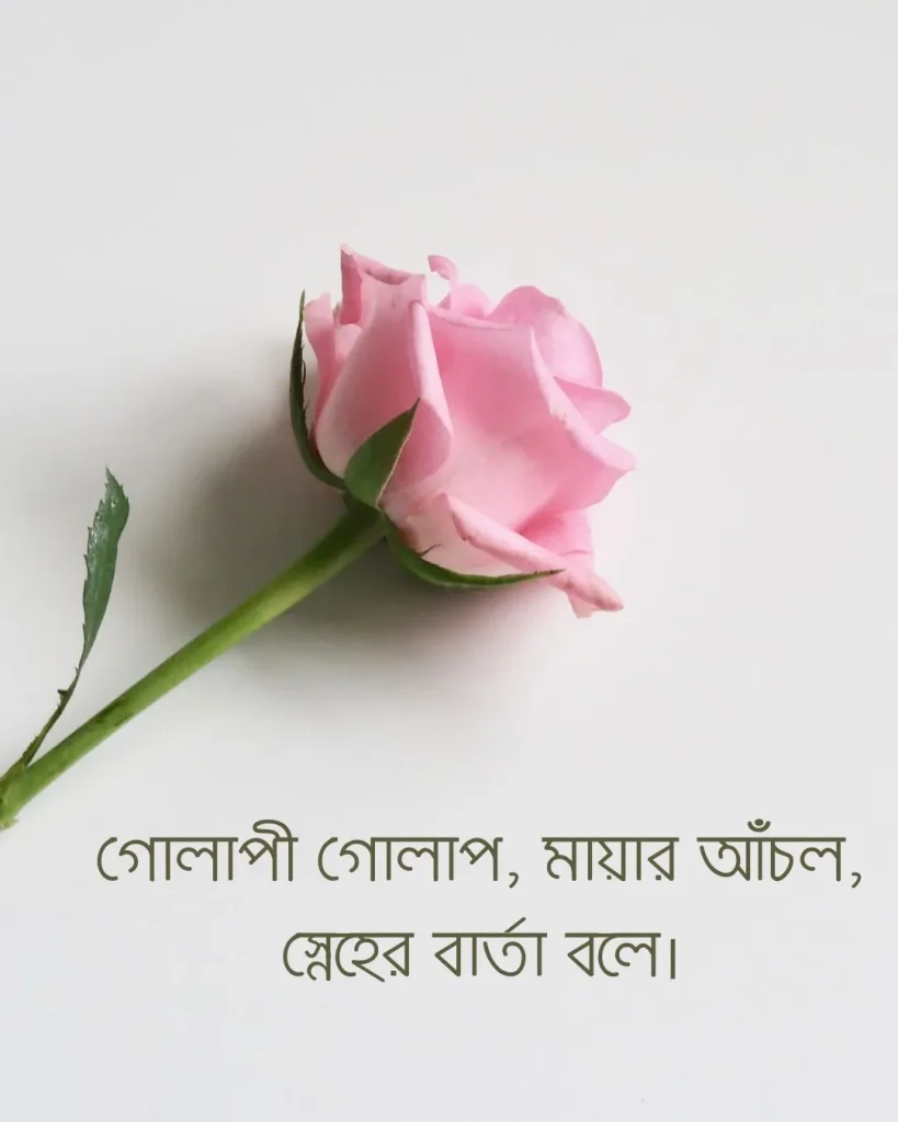 গোলাপী গোলাপ নিয়ে কিছু ক্যাপশন ছবি 3