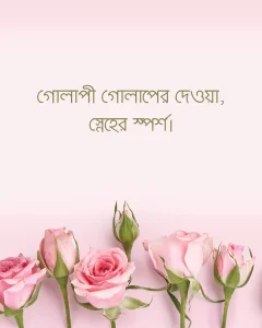 গোলাপী গোলাপ নিয়ে কিছু ক্যাপশন ছবি 4