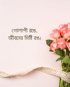 গোলাপী গোলাপ নিয়ে কিছু ক্যাপশন ছবি 5