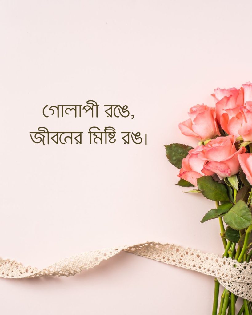 গোলাপী গোলাপ নিয়ে কিছু ক্যাপশন ছবি 5