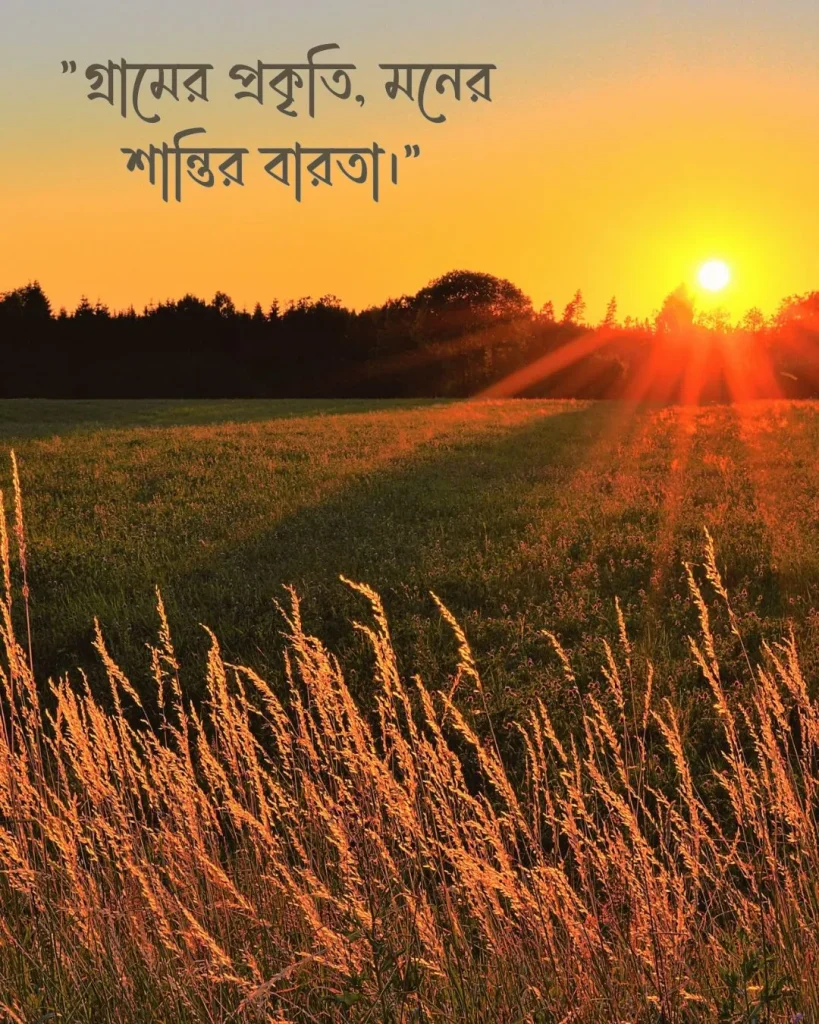 গ্রামের প্রকৃতি নিয়ে ক্যাপশন ও ছবি