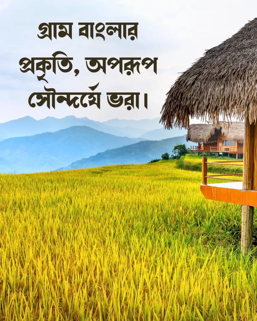 গ্রামের প্রকৃতি নিয়ে ক্যাপশন সাথে ছবি ১