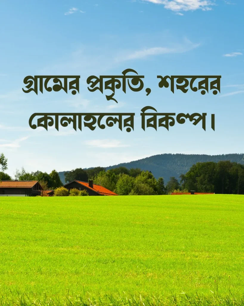 গ্রামের প্রকৃতি নিয়ে ক্যাপশন সাথে ছবি ২