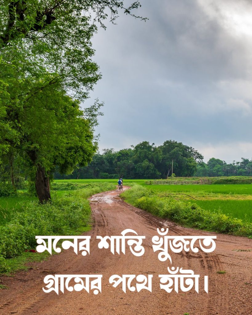 গ্রামের প্রকৃতি নিয়ে ক্যাপশন সাথে ছবি ৩