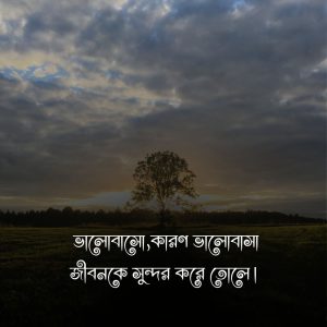 ভালোবাসো, কারণ ভালোবাসা জীবনকে সুন্দর করে তোলে।