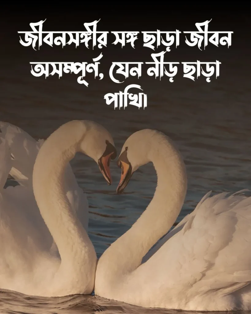 জীবন সঙ্গী নিয়ে স্ট্যাটাস ও পিক (2)