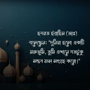 . হযরত ইব্রাহিম (আঃ) বলেছেন: "দুনিয়া হলো একটি মরুভূমি, তুমি এখানে যতটুকু সম্ভব জল সংগ্রহ করো।"