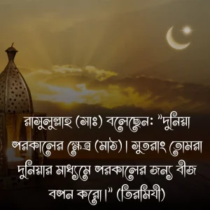 দুনিয়া নিয়ে হাদিসে ও ছবি