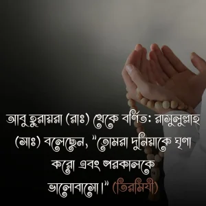 দুনিয়া নিয়ে হাদিসে ও ছবি ২