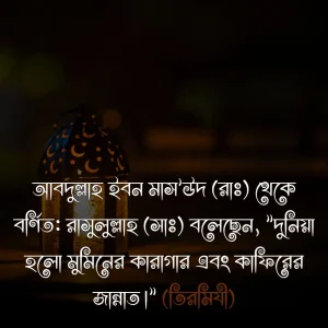 দুনিয়া নিয়ে হাদিসে ও ছবি ৩