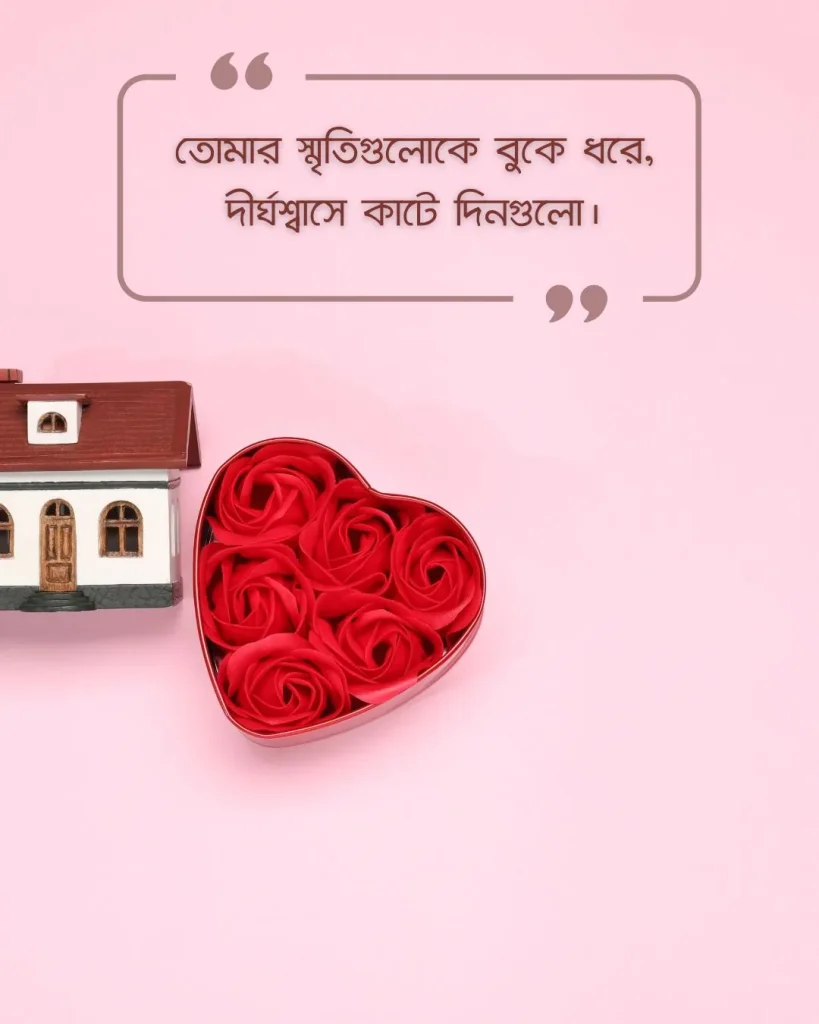 দূর থেকে ভালোবাসার স্ট্যাটাস ছবি ৮