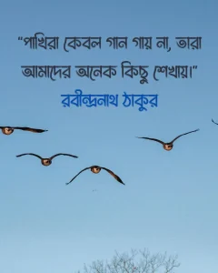 পাখি নিয়ে উক্তি সাথে ছবি - রবীন্দ্রনাথ ঠাকুর