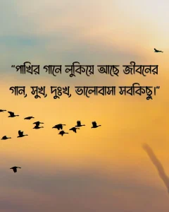 পাখি নিয়ে উক্তি সাথে ছবি ১