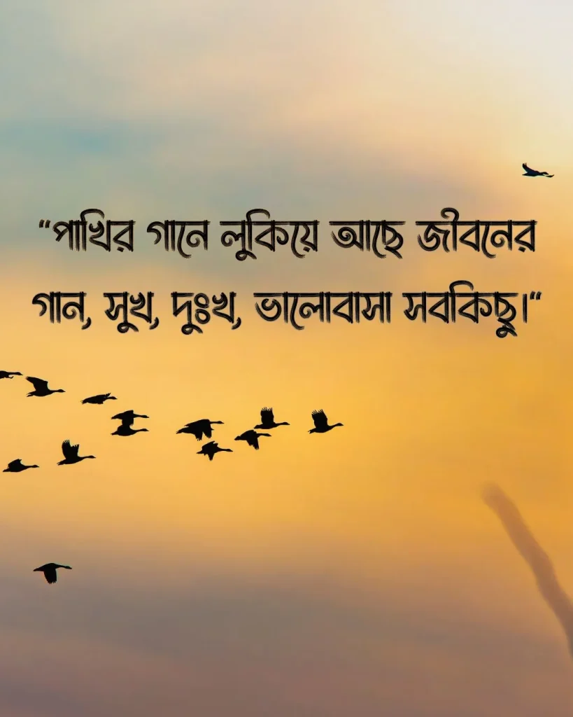 পাখি নিয়ে উক্তি সাথে ছবি ১