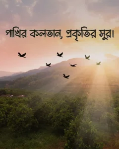 পাখি নিয়ে ক্যাপশন সাথে ছবি ১