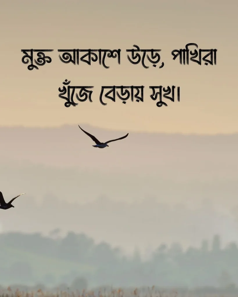 পাখি নিয়ে ক্যাপশন সাথে ছবি ২